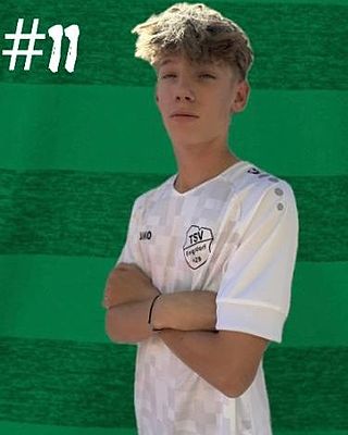 Niklas Heil