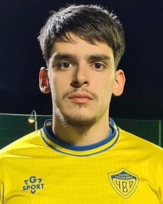 David Ribeiro
