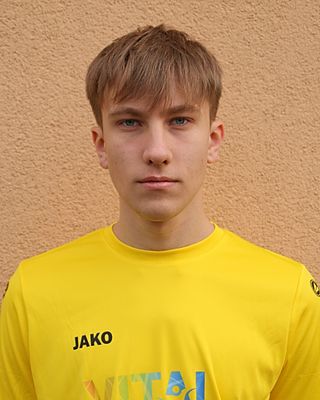 Hans Dalichau