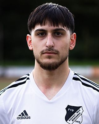 Alessandro Guiseppe Di Venti