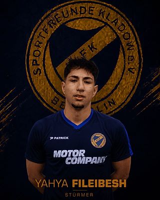 Yahya Fileibesh