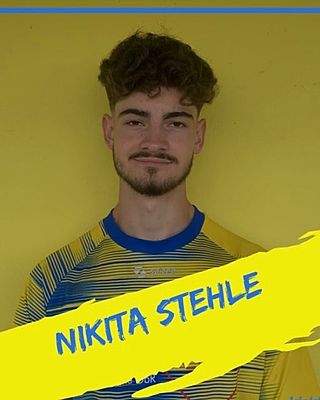 Nikita Maximilian Stehle