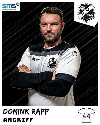 Dominik Rapp