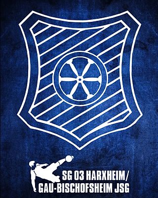 Maximilian Hellweger