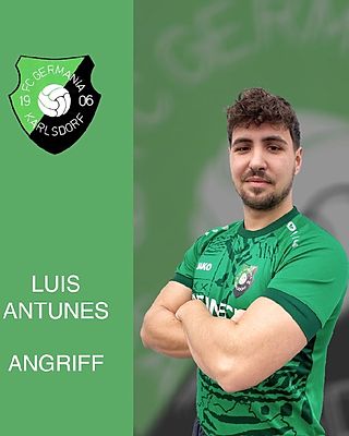 Luis Antunes
