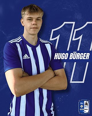 Hugo Bürger