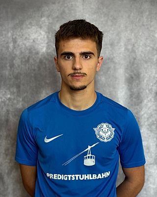 Amel Omeradzic