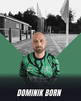 Dominik Born