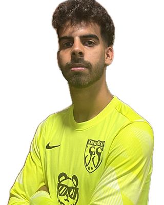 Leandro Morgado da Silva