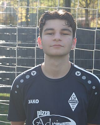 Timur Akmanlar