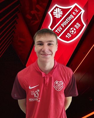 Luis Werner