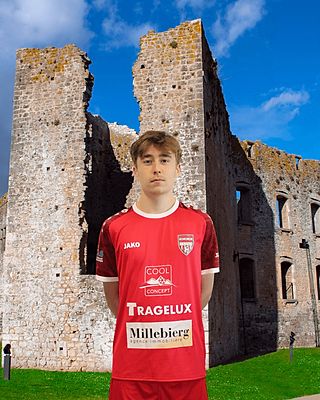 Antoine Jean Van Rossem