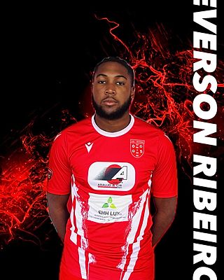 Everson DOS REIS RIBEIRO