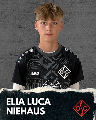 Elia Luca Niehaus