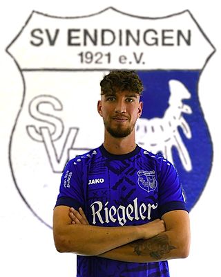 Lukas Metzinger