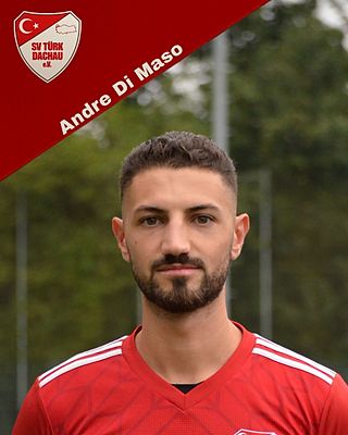Andre Di Masso