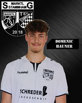 Domenic Hauner