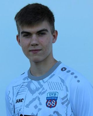 Bennett-Leander Stein