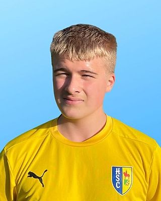 Maximilian Luca Wende