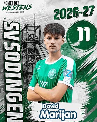 David Marijan