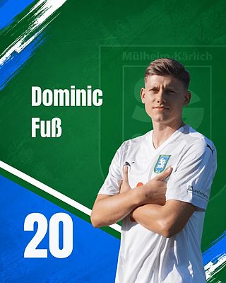 Dominic Fuß