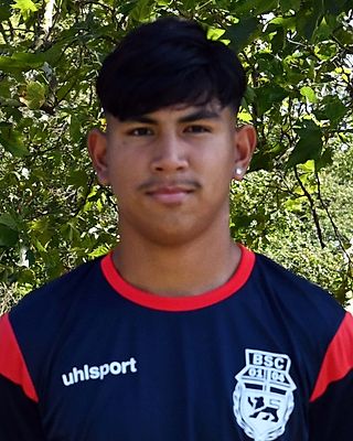 Fabrizio-Adrian Harbauer-Brena