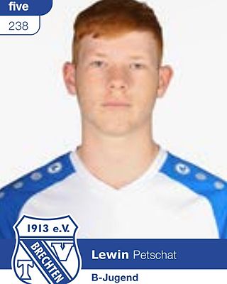 Lewin Petschat