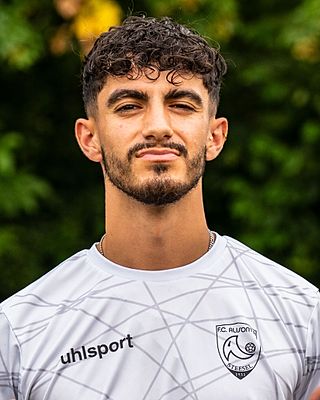 Rui Sampaio Moreira Mendes