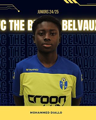 Muhammad Diallo Salim