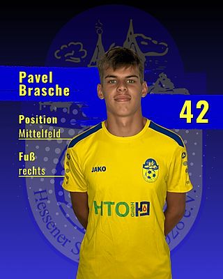 Pavel Brasche