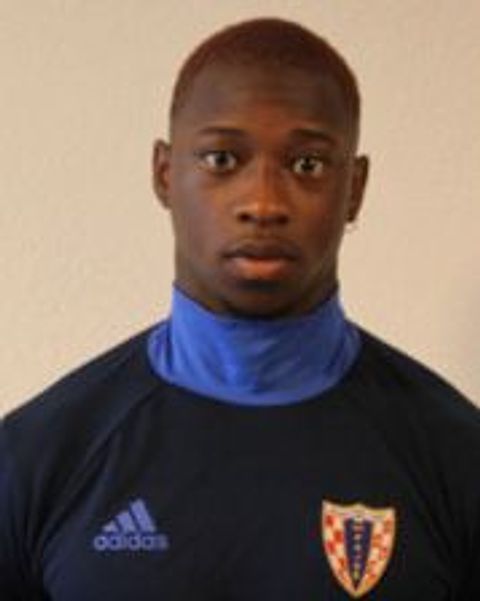 Hamed Sako