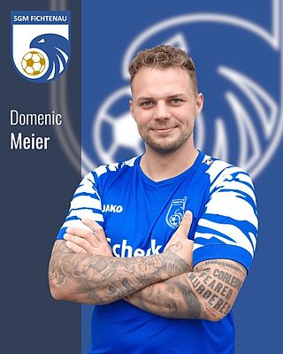 Domenic Meier