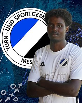 Mohamed Hassan Ibrahim