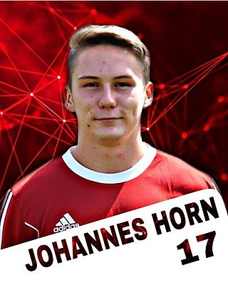 Johannes Horn