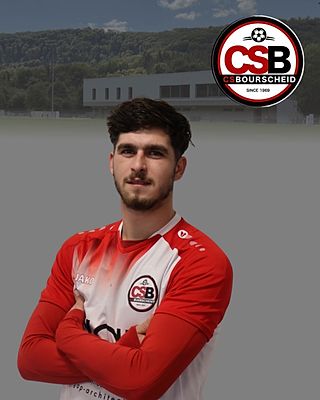 Luis Carlos Teixeira Rodrigues