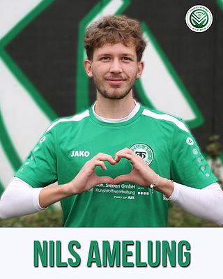 Nils Amelung