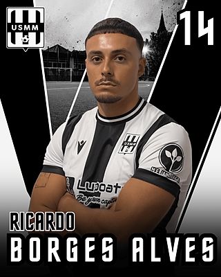 Ricardo Borges Alves