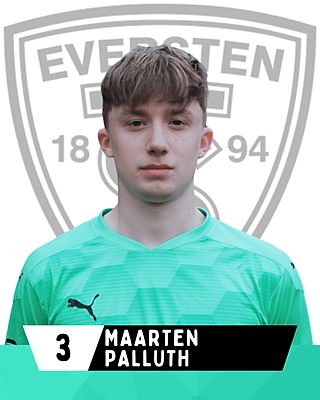 Maarten Palluth