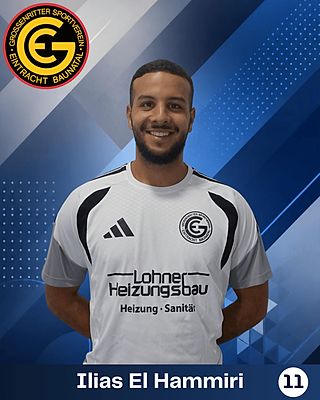 Ilias El Hammiri