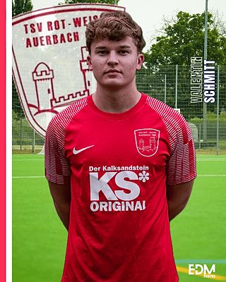 Valentin Schmitt