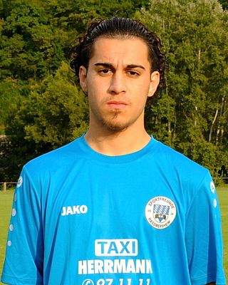 Mohammad Walid Popalzay