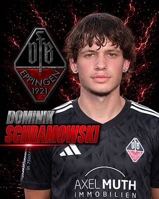 Dominik Schramowski