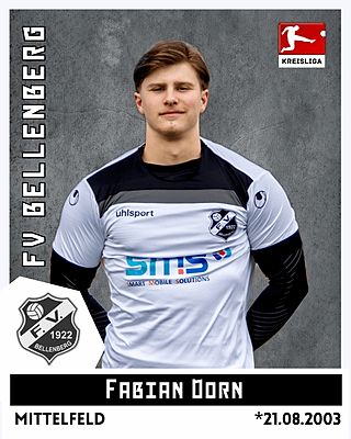 Fabian Dorn