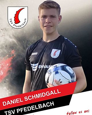 Daniel Schmidgall