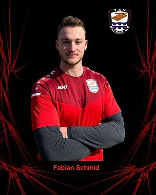 Fabian Schmid