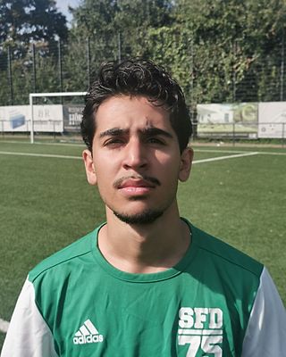 Nawin Mohammeddin Shams