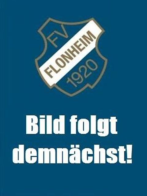 Foto: FV Flonheim