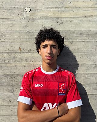 Alexandre LEAL DOS REIS