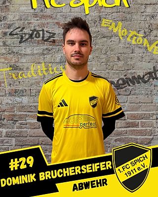 Dominik Brucherseifer