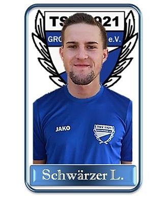 Lukas Schwaerzer